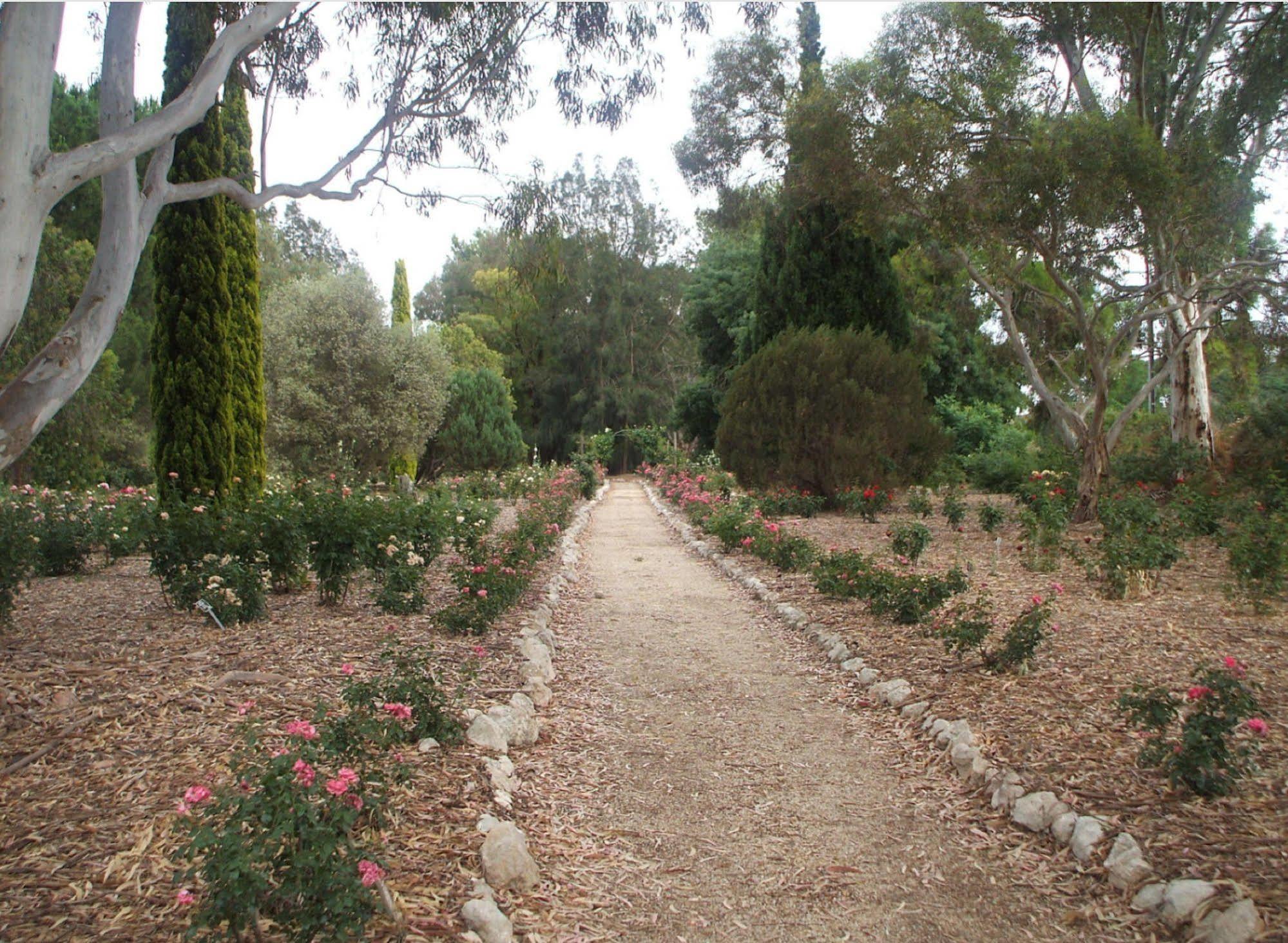 The 3* Lyndoch